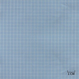 [H10441] BLUE, WHITE CHECKS