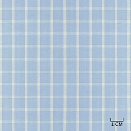 [H10435] BLUE, WHITE CHECKS
