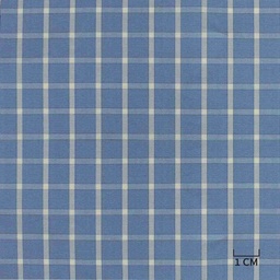 [H10436] BLUE, WHITE CHECKS