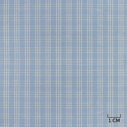 [H10438] BLUE, WHITE CHECKS