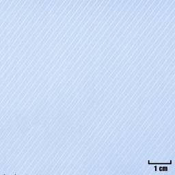 [H11273] LIGHT BLUE, TWILL