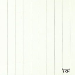 [H10521] STRIPES