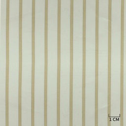 [H10415] WHITE, KHAKI STRIPES
