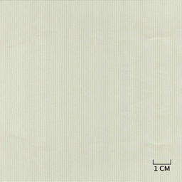 [H10431] WHITE, TAN STRIPES