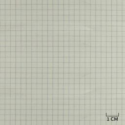[H10439] WHITE, PURPLE CHECKS