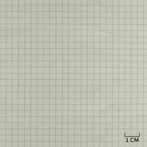 [H10439] WHITE, PURPLE CHECKS