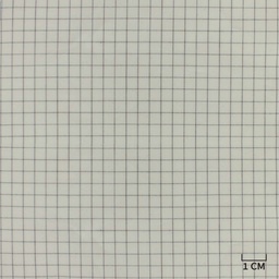 [H10442] WHITE, DARK BLUE CHECKS