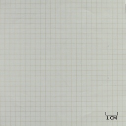 [H10444] WHITE, TAN CHECKS