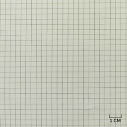 [H10448] WHITE, CHECKS