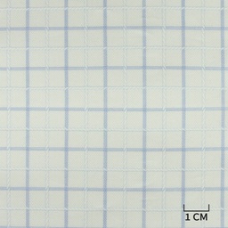 [H10461] WHITE, BLUE CHECKS