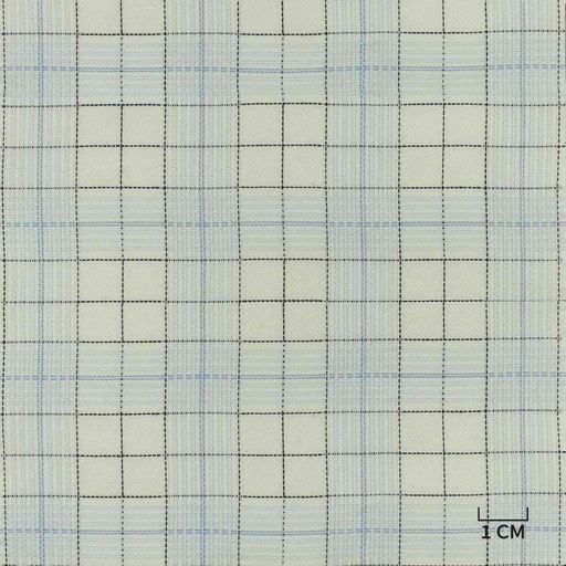 [H10463] WHITE, BLUE CHECKS