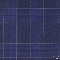 [315802] BLUE, BLUE CHECKS