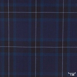 [315820] DARK BLUE, BLUE CHECKS