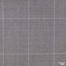 [315821] GREY, BIG WHITE CHECKS