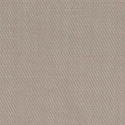 [316902] TAN, PLAIN (DR# 12002)