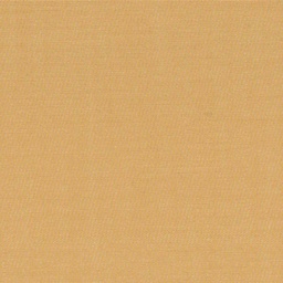 [316904] YELLOW, PLAIN