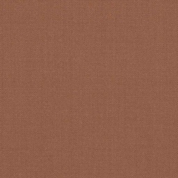 [316914] BROWN, PLAIN (DR# 12016)