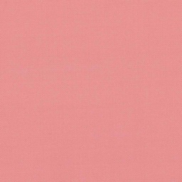 [316917] PINK, PLAIN (DR# 12019)