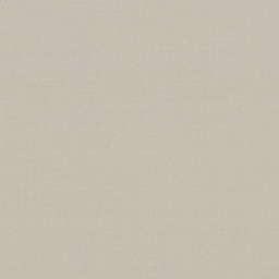 [316925] BEIGE, PLAIN (DR# 12027)