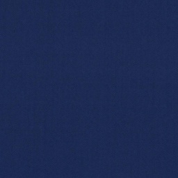 [316926] BLUE, PLAIN (DR# 12028)