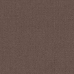 [316830] BROWN, PLAIN