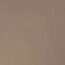 [315928] TAN, PLAIN