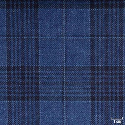 [316016] DARK BLUE, BLUE CHECKS