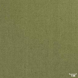 [316030] GREEN, PLAIN