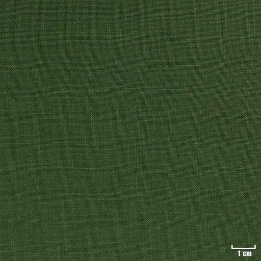 [316031] GREEN, PLAIN