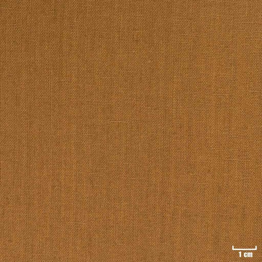 [316032] GOLDEN BROWN, PLAIN
