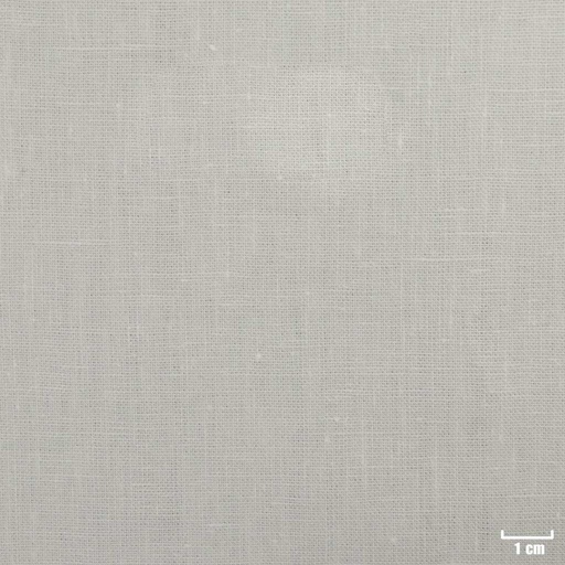 [316034] WHITE, PLAIN