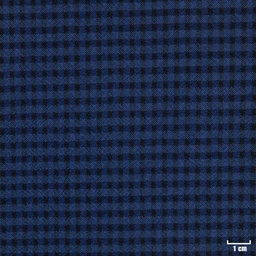 [316150] BLUE, CHECKS