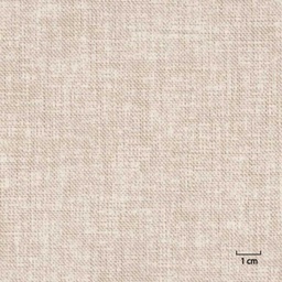 [317028] TAN, PLAIN