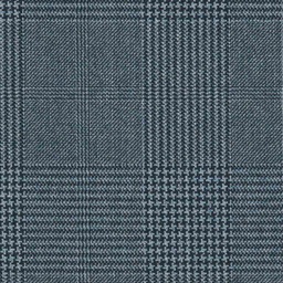 [316507] BLUE, CHECKS