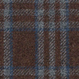[316643] BROWN, BLUE CHECKS