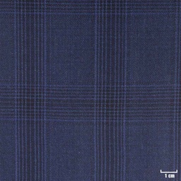 [315506] BLUE, CHECKS (DR# 9106)