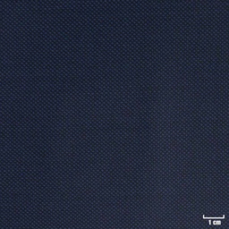 [315537] DARK BLUE, BIRDEYE