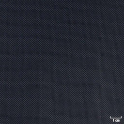 [315538] DARK BLUE, BIRDEYE
