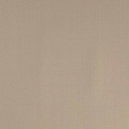 [315554] TAN, PLAIN