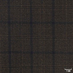 [315609] BROWN, CHECKS