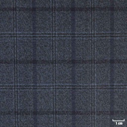 [315610] BLUE, CHECKS