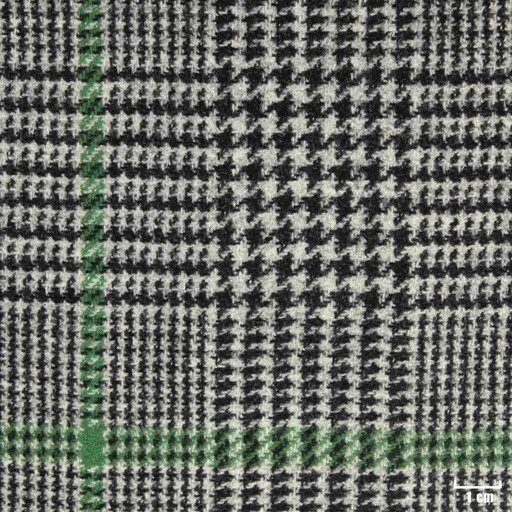 [315720] GREY, BIG GREEN CHECKS