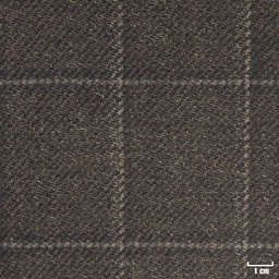 [315728] BROWN, CHECKS