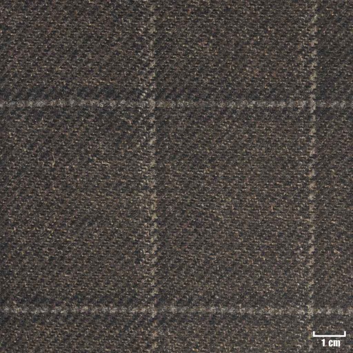 [315728] BROWN, CHECKS