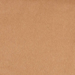 [403612] CAMEL, PLAIN