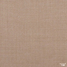 [403969] TAN, PLAIN