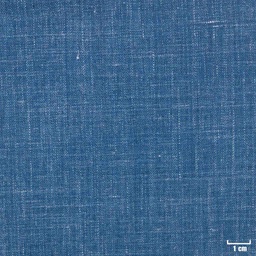 [403831] BLUE, PLAIN