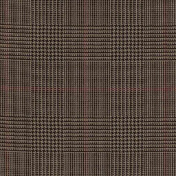 [404103] BROWN, CHECKS