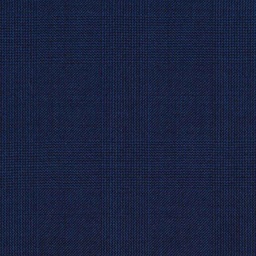[404110] BLUE, CHECKS