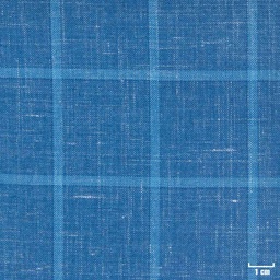 [403804] BLUE, BIG CHECKS